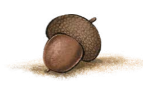 kepernyofoto-2024-10-09-213347.png