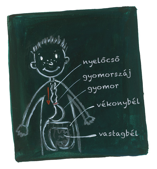 02.jpg