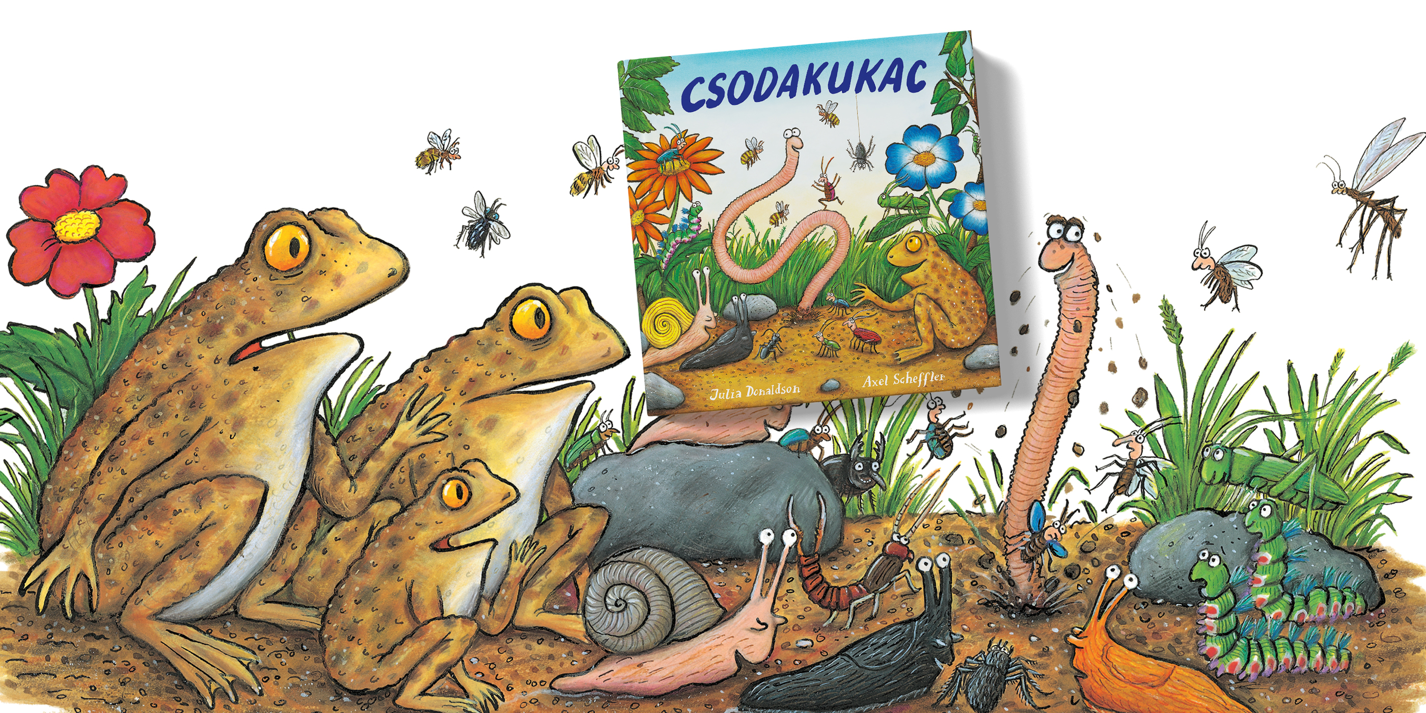 csodakukac_blogcover.jpg