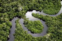 amazonas.jpg