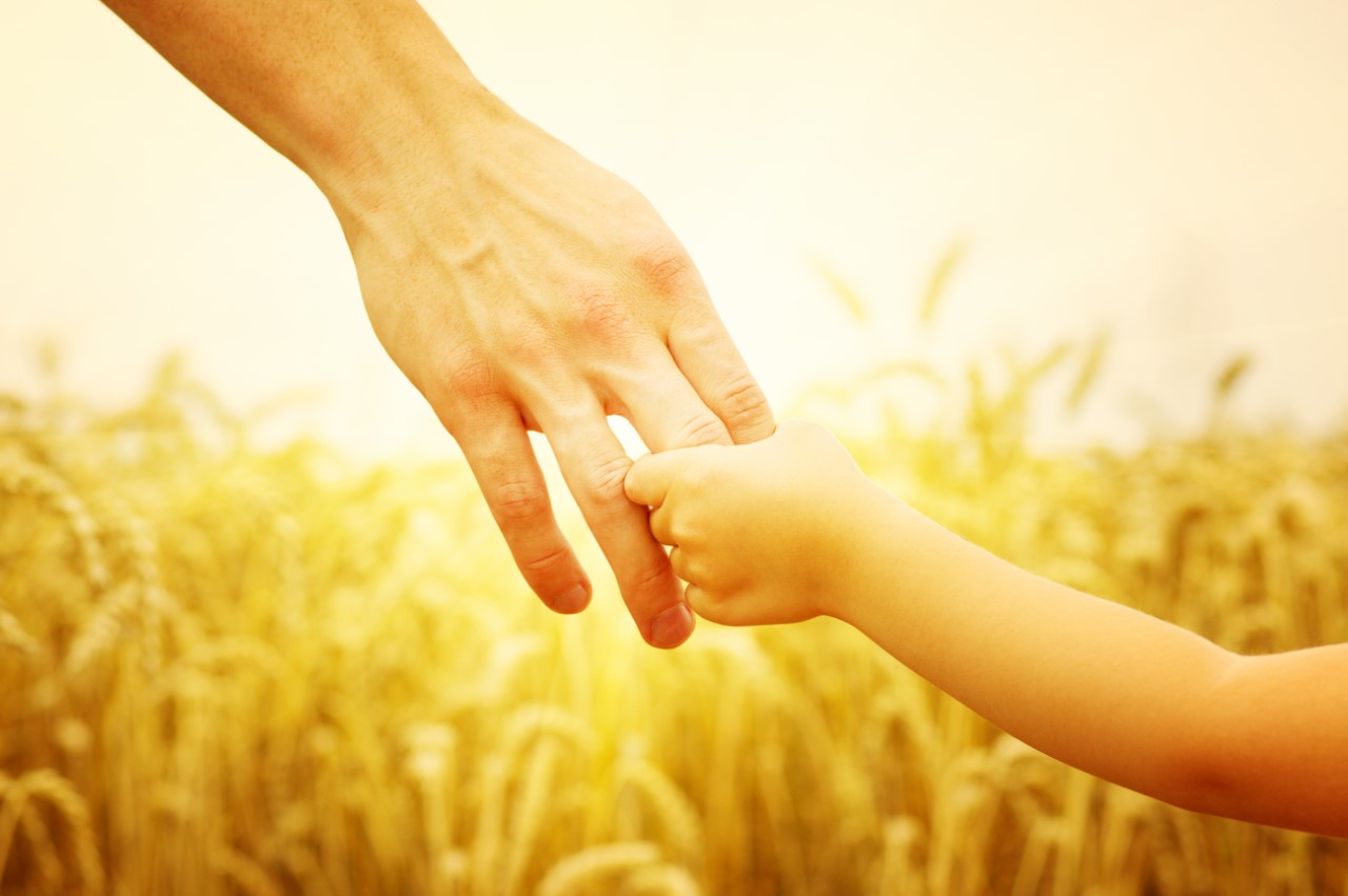 thumbnail_adobestock_87143143.jpg