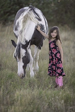 horse07.jpg