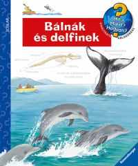 Bálnák és delfinek - Mit? Miért? Hogyan? 37.