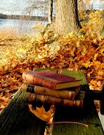 bookbench2.jpg